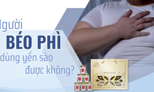Người béo phì dùng yến sào có được không?